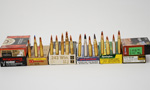 Hunting Ammunition and Calibres