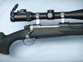 Ruger M77 Hawkeye