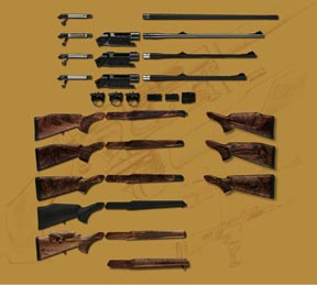 sauer 202 rifle