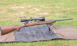 Savage Model 11GCNS