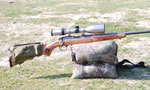 Ruger M77/22 Magnum All-Weather