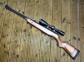 Gamo CF-30