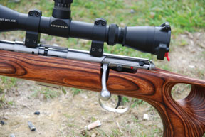 Savage 93R17 BTVS