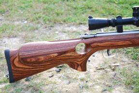 Savage 93R17 BTVS