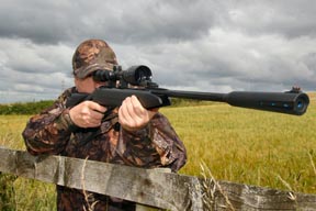 Gamo Whisper