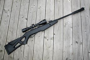 Gamo Whisper