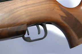 Theoben Evolution Carbine