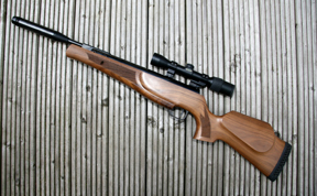 Theoben Evolution Carbine
