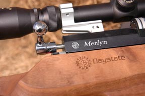 Daystate Merlyn PCP