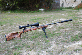 Savage Hunter Series Model 11BTH