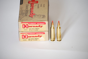 Ruger M77 Hawkeye Predator