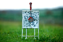 Air Arms Practice Target