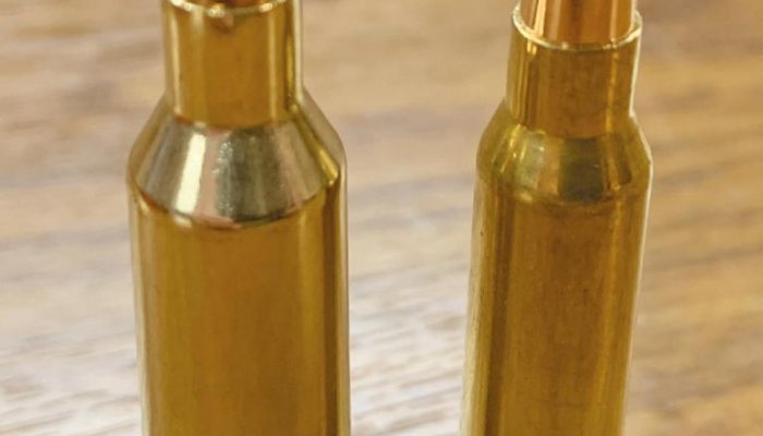 Norma Dedicated Components .22-250 Remington Rifle Brass Cartridge Cases